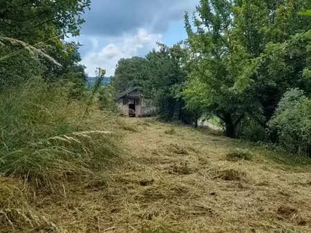 vend terrain / verger avec abri de jardin