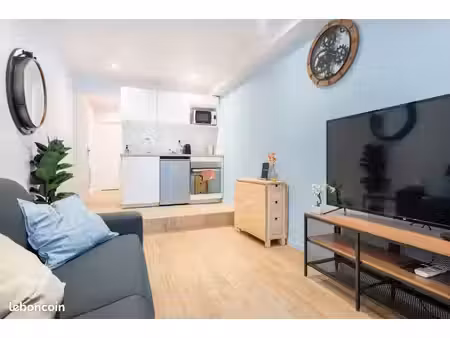 magnifique t1 meublé