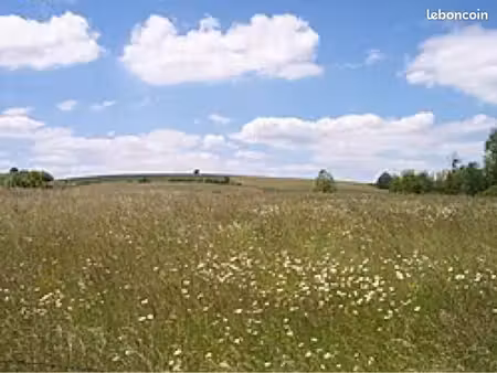 recherche terrain à louer