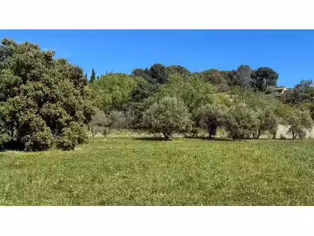 vente terrain 780 m² à lagnes (84800)  260 000 €