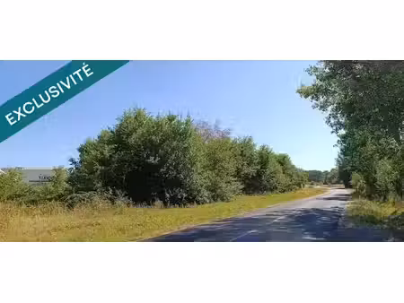 vente terrain à batir 5392 m² à savigny-en-véron (37420)  89 900 €