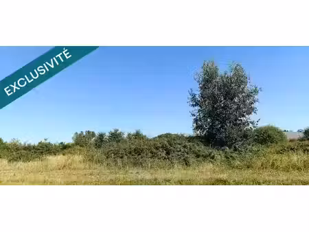 vente terrain à batir 9322 m² à savigny-en-véron (37420)  159 900 €