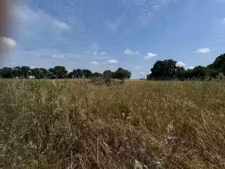 vente terrain 175 m² à vérargues (34400)  134 900 €