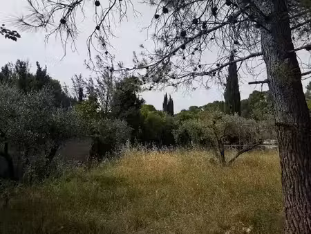 vente terrain 860 m² à congénies (30111)  255 000 €