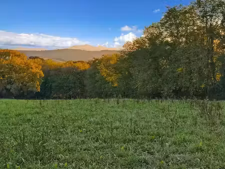 vente terrain 30000 m² à bidache (64520)  360 000 €