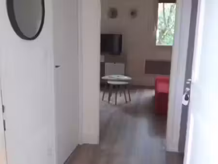location appartement 1 pièce 25 m² à fonsorbes (31470)
