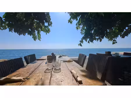 local commercial moriani