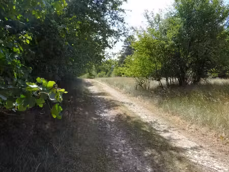 petit paradis ! (52)