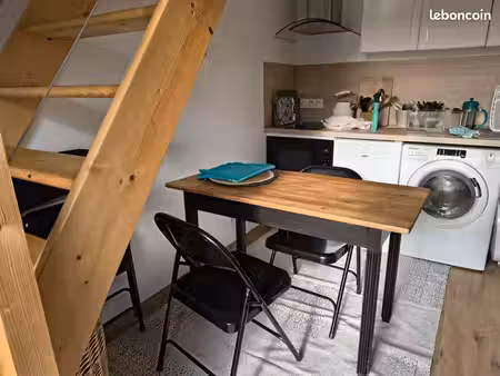 appartement 30m2 avec mezzanine  terrasse et jardin