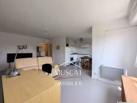 studio 1 pièce 37 m²