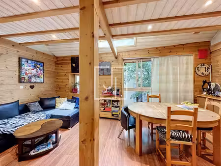à vendre maison de village avec studio indépendant en plei