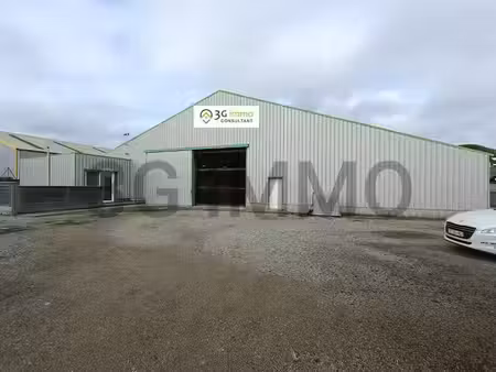 location locaux professionnels 1500 m² à le folgoët (29260)  1 800 €