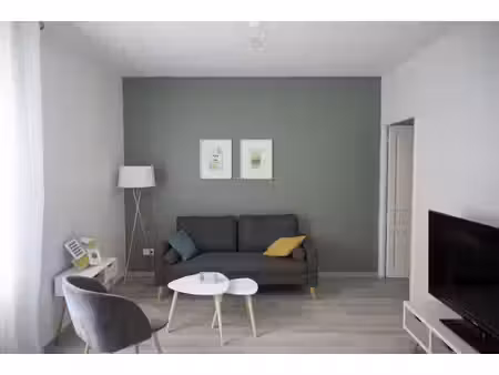 appartement oyonnax t3 meublé 60.64 m²