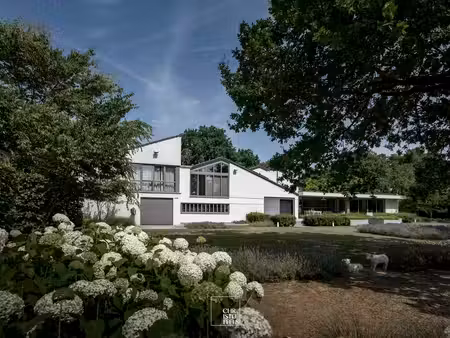 maison à vendre à zolder € 1.650.000 (lr519) - christoffels vastgoed | zimmo