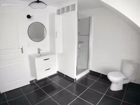 ? charmant appartement restauré – appoigny (89380)