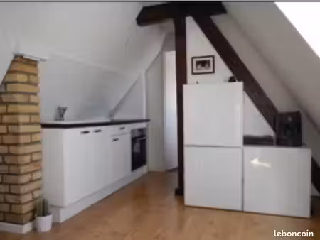 loue meublé schiltigheim 40m2 (72m2au sol)