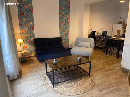 appartement rénovée et lumineux en centre ville