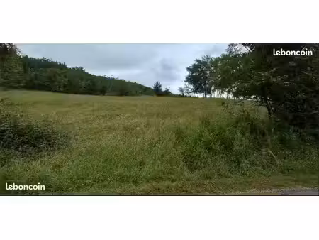 pré à louer 48 ares – chevaux / animaux