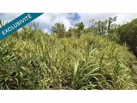 le francois : terrain de 1083 m² ecrin de verdure