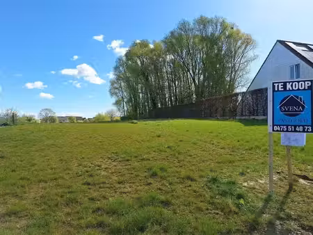 terrain