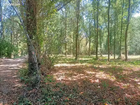 ? terrain de loisirs 3 287 m² + tiny house 33 m² – jars (18260) 34 500 euros