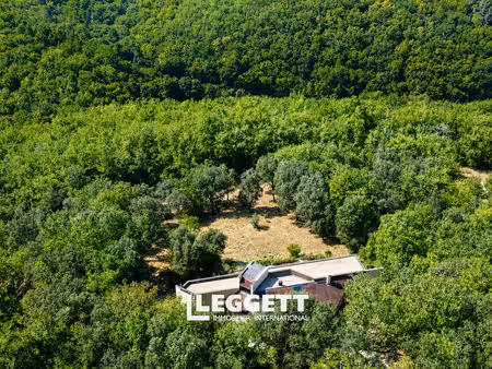 maison 7 pièce(s)  les eyzies