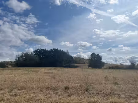 bois sur les hauteurs d' auxerre 11380 m2