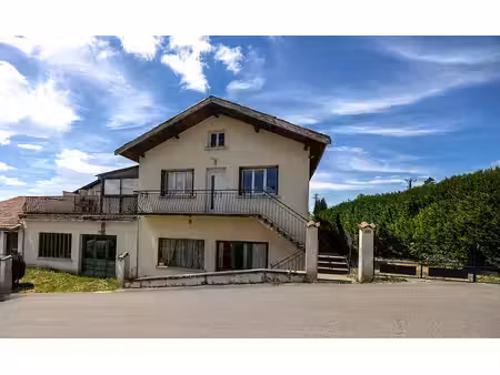 villa t4 au calme avec 160 m² d'ateliers : idéal artisan  collectionneur ou projet locatif