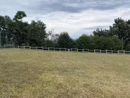 terrain