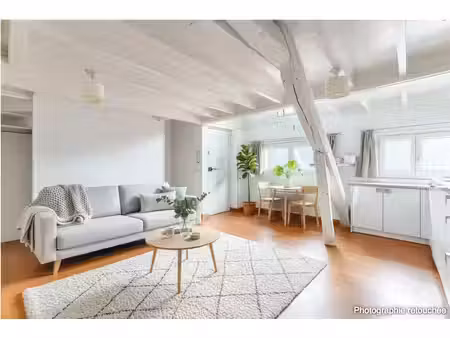appartement paris ier