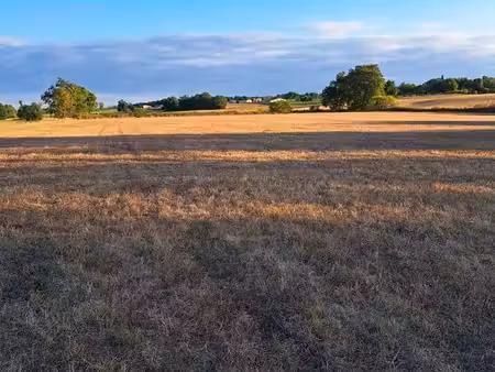 vends terres agricoles en prairies 2.5 ha