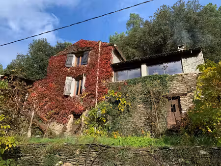 maison à vendre 4 pièces saint martin de boubaux (48)