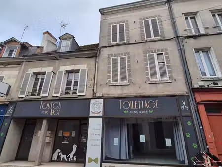 ensemble immobilier 250 m² - local commercial et deux logements - hyper centre de romorant