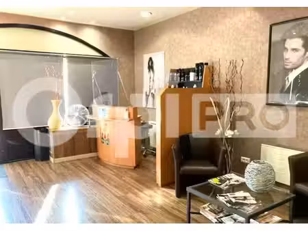 vente commerce la chapelle saint mesmin 45380 55m²