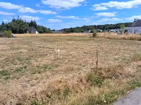 vente terrain à camors (56330) : à vendre / 668m² camors