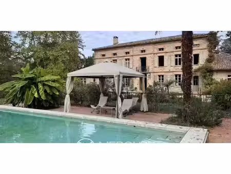 château ambres (81)