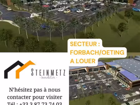 location local d’activités oeting 57600 500m²