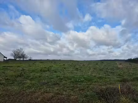 achat terrain 4 500m² chateau renault 37110