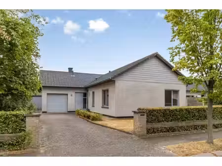 huis te koop in puurs-sint-amands met 3 slaapkamers