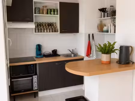 à louer appartement 51 17 m² – 590 € |cholet