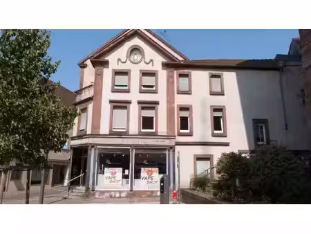 local professionnel à vendre bitche 2 pièce(s) 80m2 61 500€
