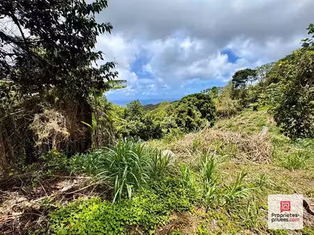 achat terrain 2 480m² ste luce 97228