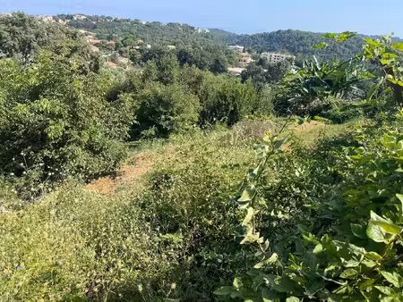exclusivité terrain plat de 916 m² à 20 minutes d'ajacc