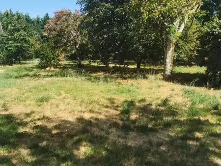 vente terrain 675 m² roaillan (33210)