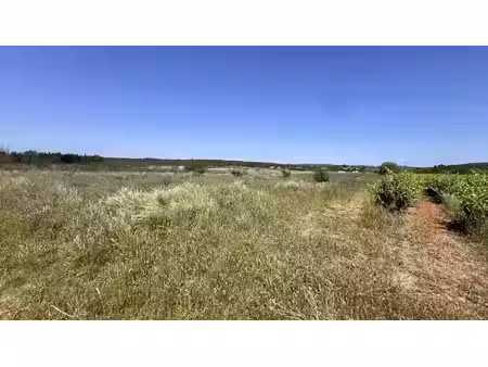 vente locaux professionnels 0 pièces 3850 m² à lédenon (30210)  7 620 €