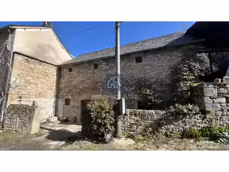 grange avec hangar à palmas d'aveyron