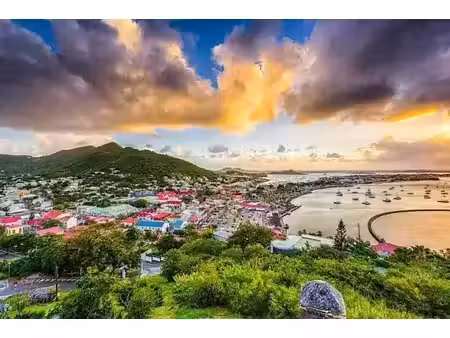 vente locaux professionnels 4 pièces 171 m² à saint-martin (97150)  65 000 €