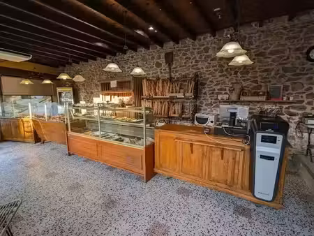 vente locaux professionnels 0 pièces 645 m² à amplepuis (69550)  147 000 €