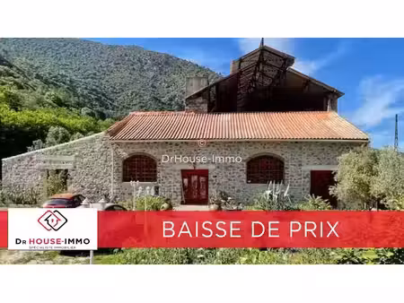vente locaux professionnels 10 pièces 200 m² à fuilla (66820)  259 000 €