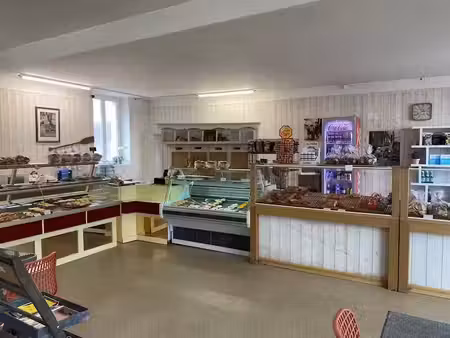 vente locaux professionnels 8 pièces 257 m² à chatillon-sur-indre (36700)  266 000 €